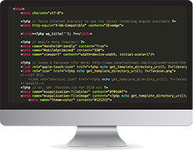 Magento Web Development Back End